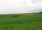 Duitsland Elly (53)